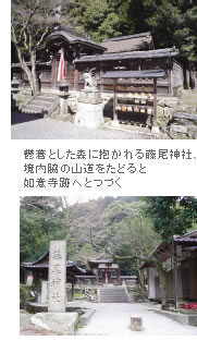 鬱蒼とした森に抱かれる藤尾神社、境内脇の山道をたどると如意寺跡へとつづく