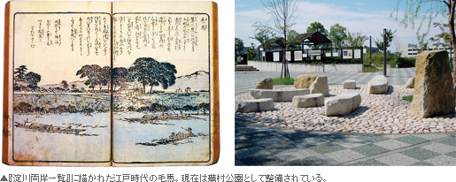 『淀川両岸一覧』に描かれた江戸時代の毛馬。現在は蕪村公園として整備されている。