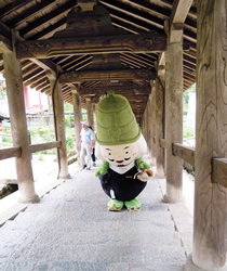 べんべんと行く西国三十三所霊場めぐり
